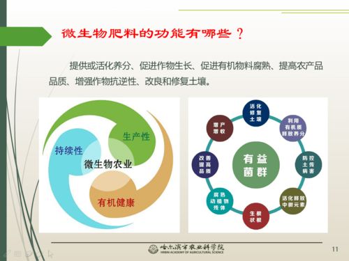 春风吹沃野 科技助农线上课堂之微生物与农业百问百答