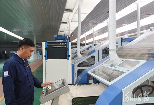 科技创新助南宫羊绒产业提档升级